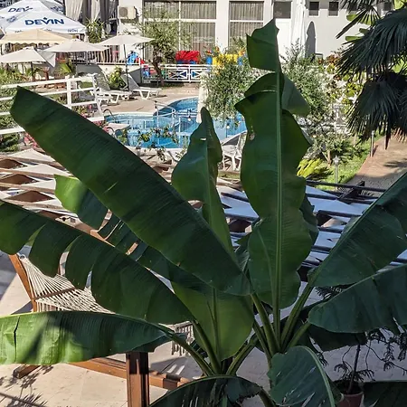Apartmán White Sands Beachfront Getaway In Aurelia - Sea View & Direct Access *